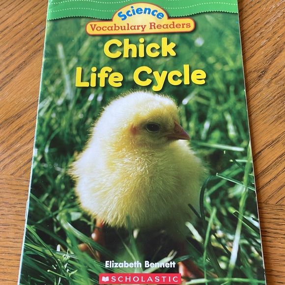 6 Children Books (1st-2nd Grade) - Picture 2 of 7